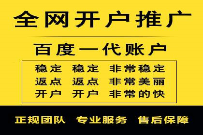 SEM推广案例：揭秘高ROI背后的策略与实践